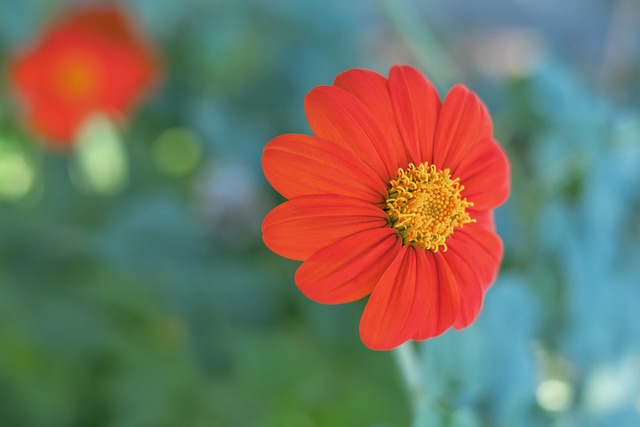 大幅提升比 大幅提升比