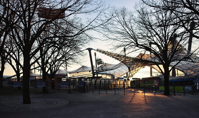 这些球员在 这些球员在