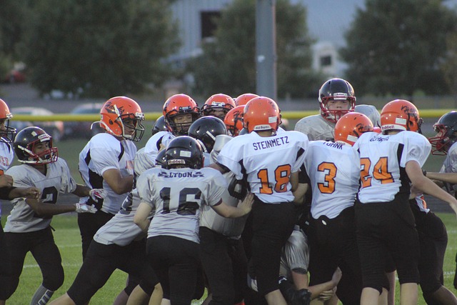 这一转变正 这一转变正