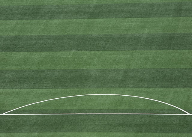 无论是通过 无论是通过