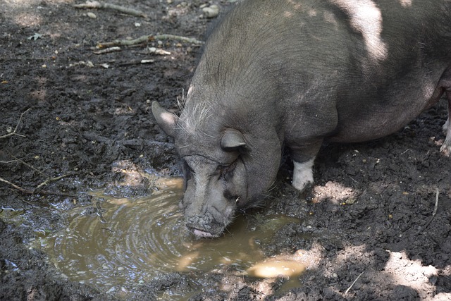 體能消耗 體能消耗