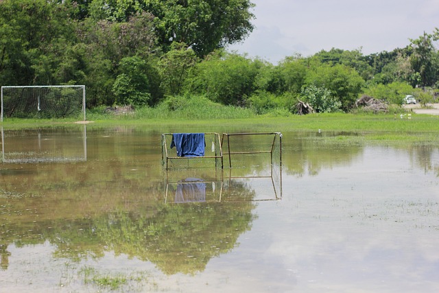 好者带来了 好者带来了